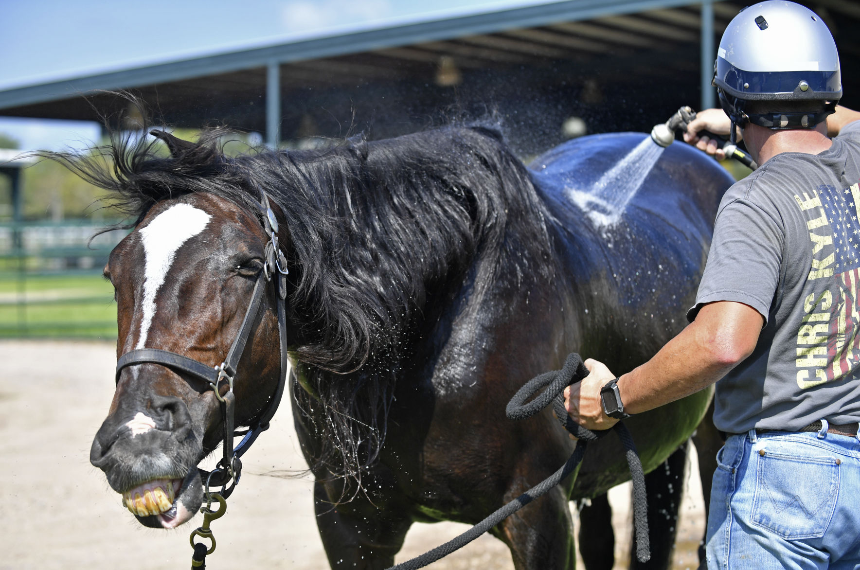 BR.brpdhorses.adv HS 031.JPG